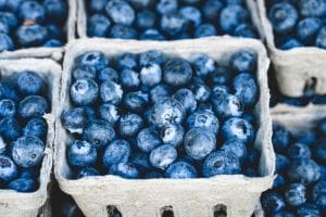 Weight loss nutritional plan Containers of blueberries