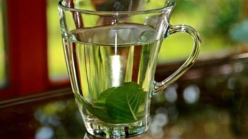 Cup of peppermint tea