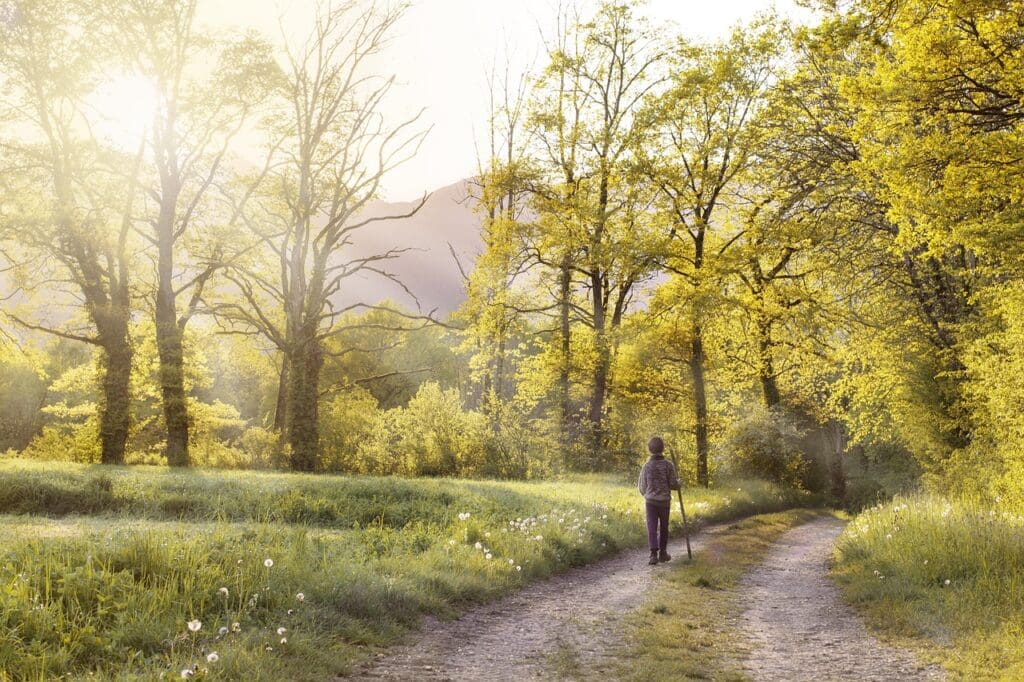 Picture of a man hiking. and a nutritional dinner. Exercise and Life Expectancy and exercise, physical activity