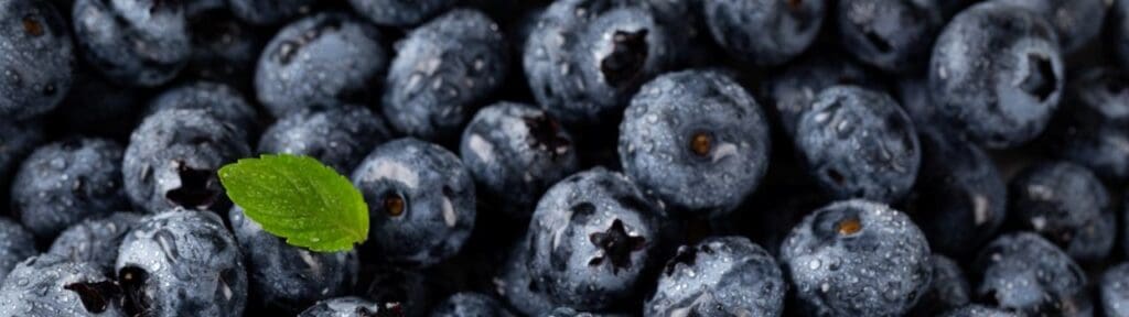 Picture of blueberries. Superfoods and Their Benefits