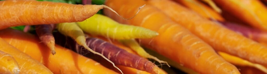 Picture of Carrots. nutrient rich foods
