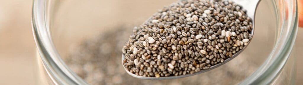 Picture of a spoon of Chia Seeds. nutrient rich foods, Superfoods and Their Benefits