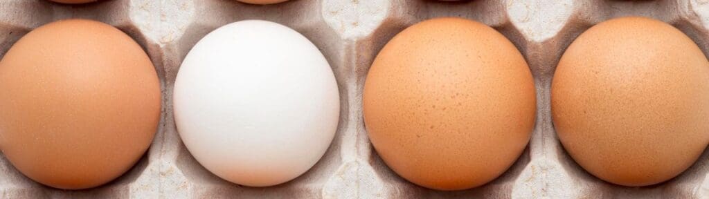 Picture of a row of eggs. Superfoods and Their Benefits