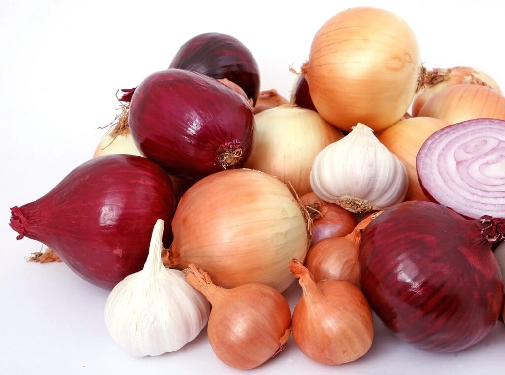 Picture of raw onions and garlic. vital vitamins