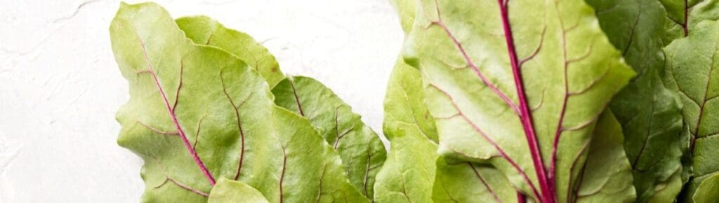Picture of Swiss Chard. Superfoods and Their Benefits