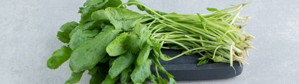 Picture of Watercress. preventing diseases